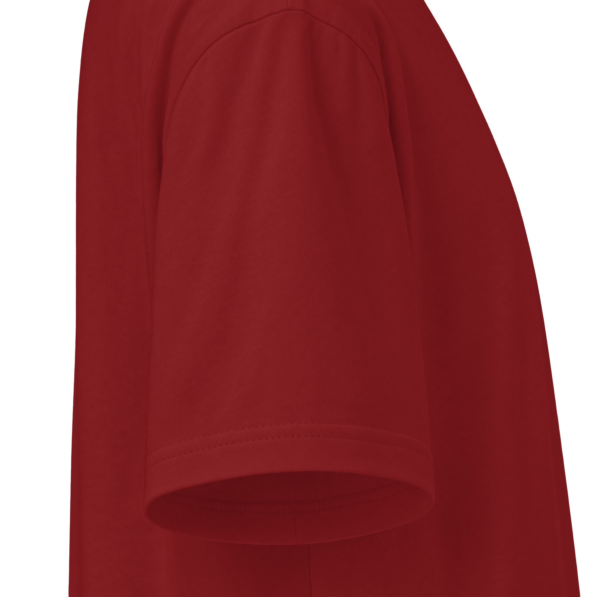 Puro Boxing y Cultura T-Shirt — Virgen de Guadalupe Back Graphic