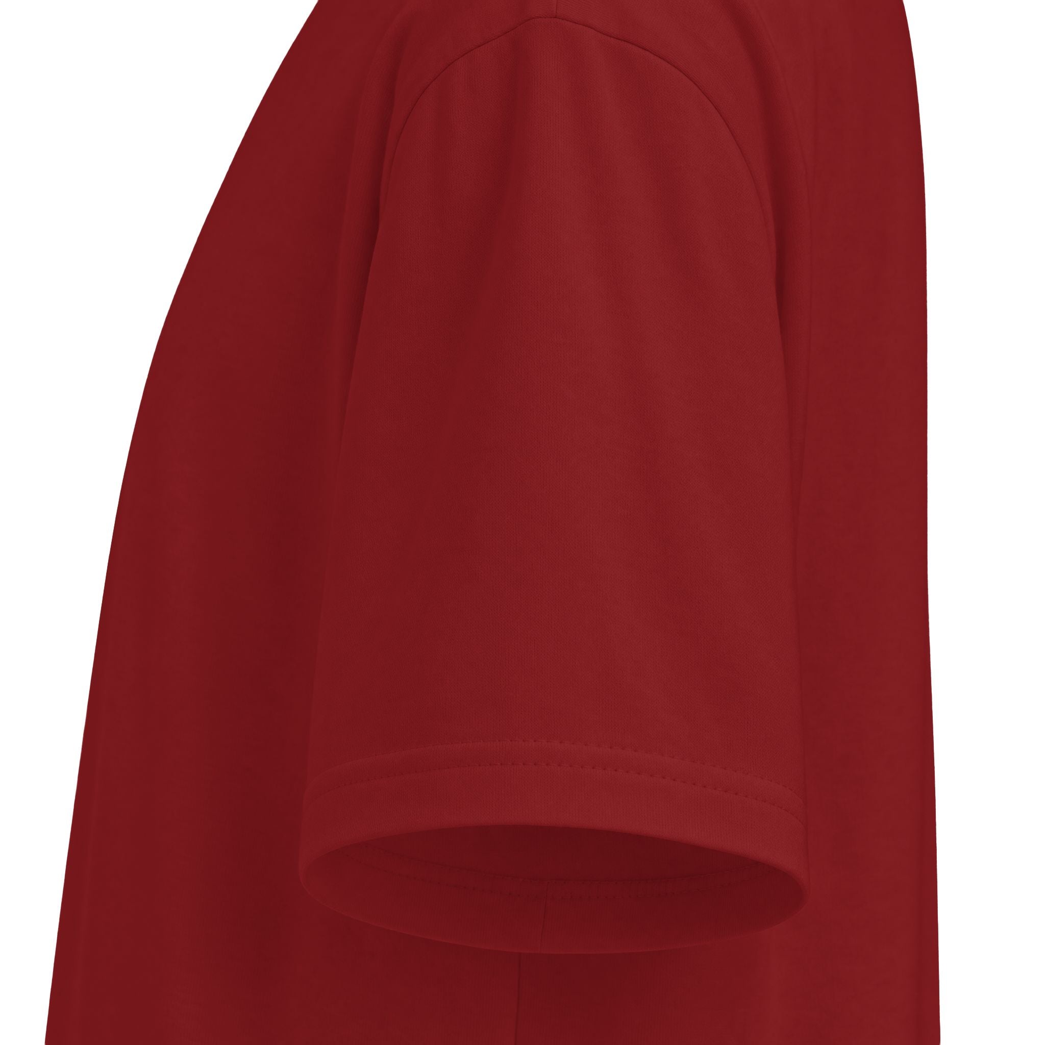 Puro Boxing y Cultura T-Shirt — Virgen de Guadalupe Back Graphic